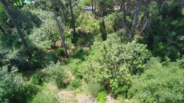 Terreno en calle Empordà, 39 thumbnail 1