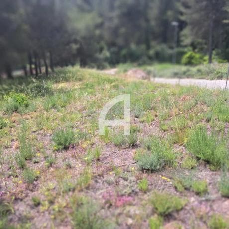 Terreno en calle de Martorell thumbnail 2