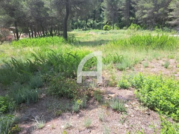 Terreno en calle de Martorell photo 1