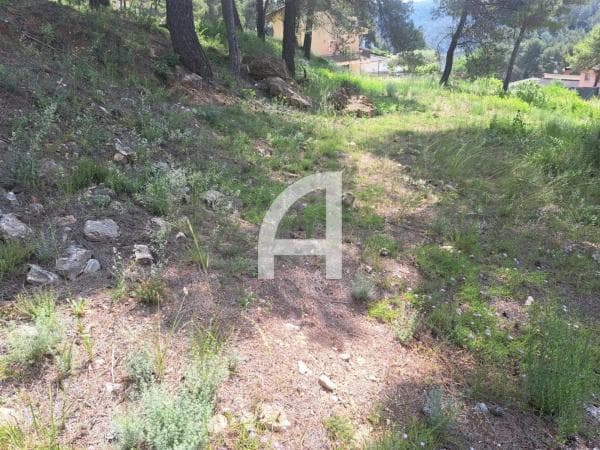 Terreno en calle de Martorell photo 1