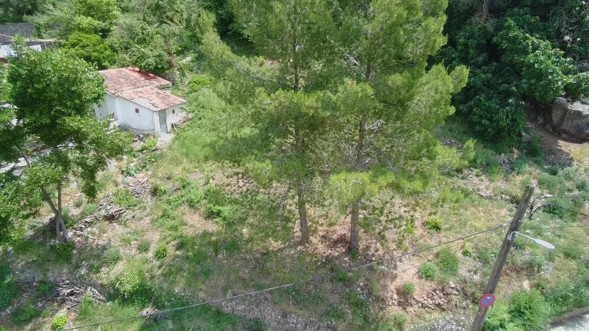 Terreno en venta en Cervelló, Barcelona photo 3