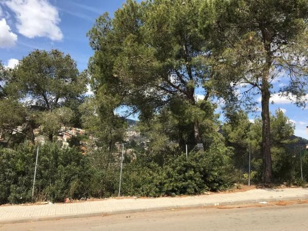 Terreno en av can monmany s/n photo 1