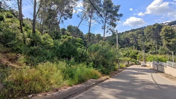 Terreno en calle Cervera photo 1