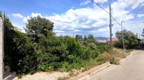 Terreno en calle Cervera thumbnail 2