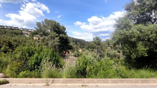 Terreno en calle Cervera photo 4