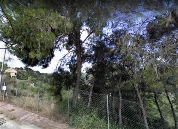 Terreno en calle 9 photo 3