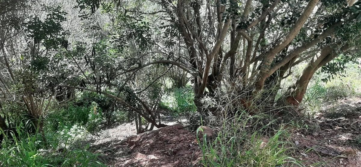 Terreno en venta en Corbera de Llobregat, Barcelona photo 3