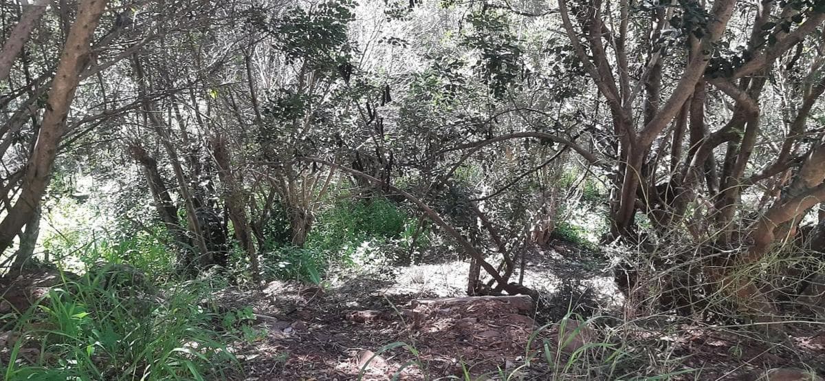 Terreno en venta en Corbera de Llobregat, Barcelona photo 4