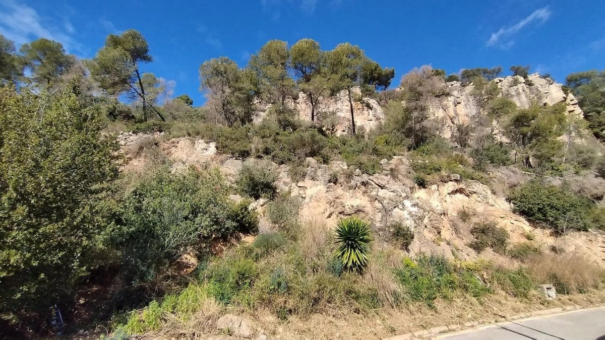 Terreno en venta en La Palma de Cervelló, Barcelona photo 4