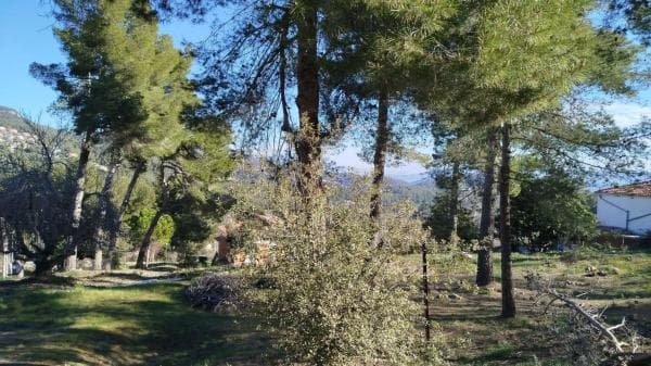 Terreno en calle de Rafael Albertí s/n photo 1