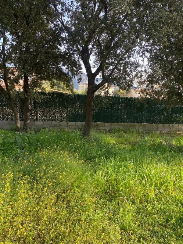 Terreno en venta en Collbató, Barcelona photo 4