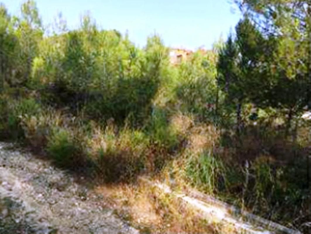 Terreno en venta en Sant Andreu de la Barca, Barcelona photo 4