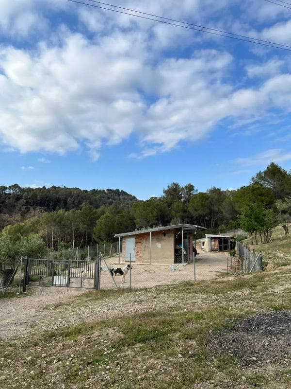 Terreno en venta en Abrera, Barcelona photo 3