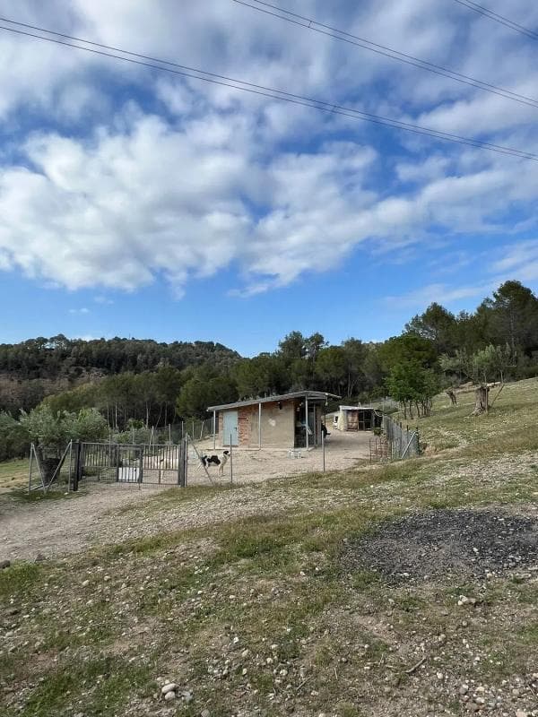 Terreno en venta en Abrera, Barcelona photo 4