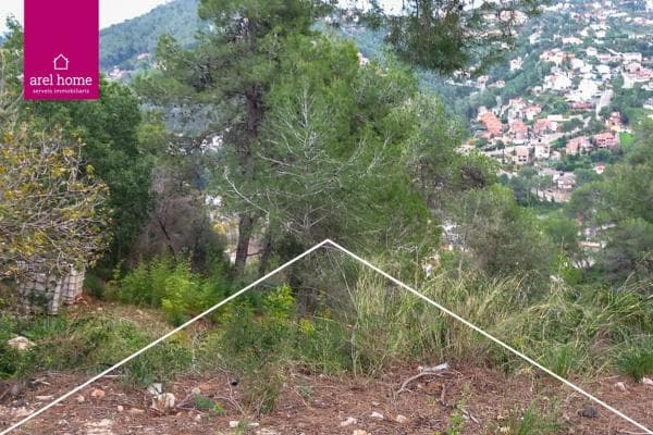 Terreno en Mirador photo 4