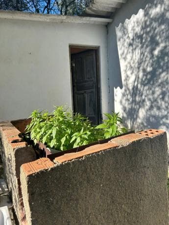 Terreno en calle de Migjorn thumbnail 1