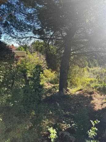 Terreno en calle de Migjorn thumbnail 2