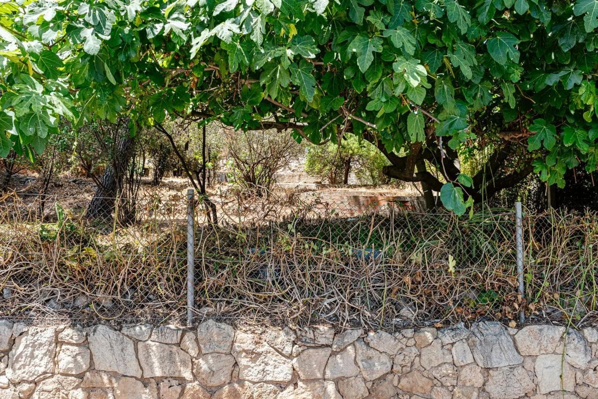 Terreno en venta en Pallejà, Barcelona photo 5