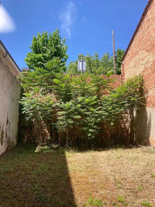 Terreno en venta en Vallirana, Barcelona photo 4