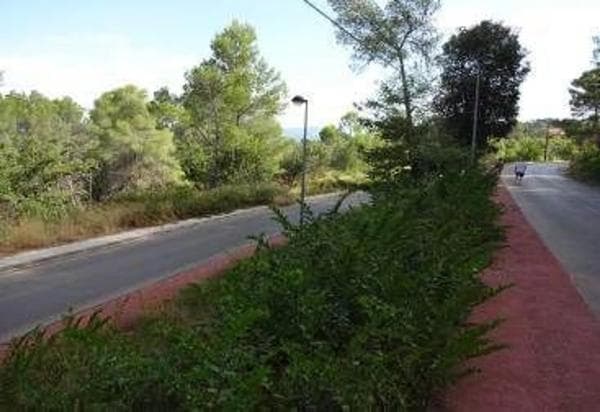 Terreno en avenida de les Cases Pairals s/n thumbnail 1