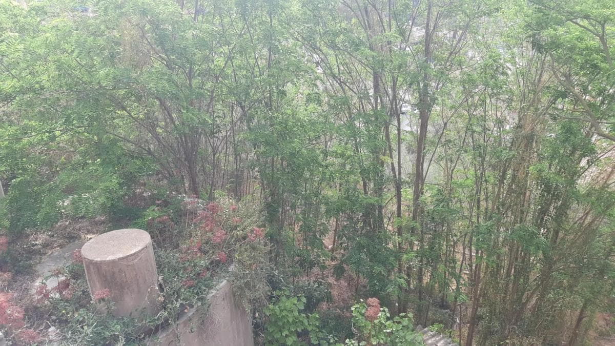Terreno en venta en Corbera de Llobregat, Barcelona photo 2