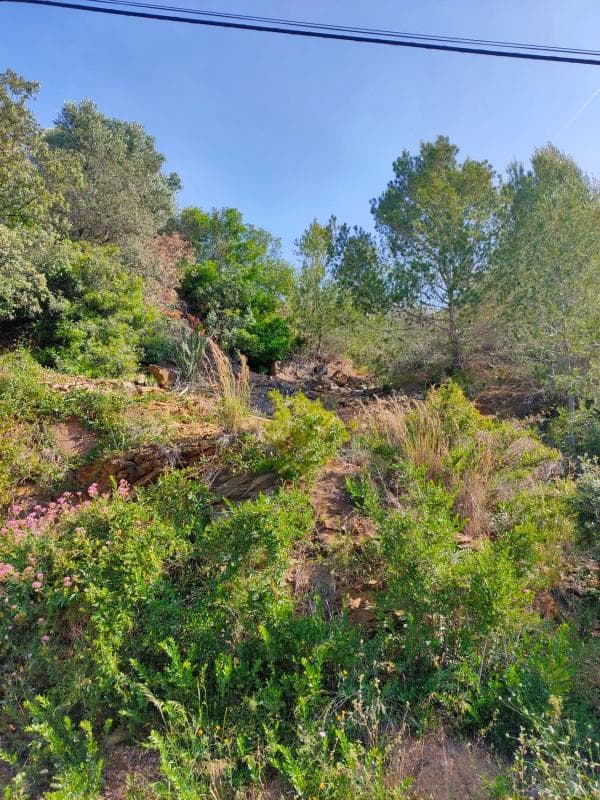 Terreno en venta en Cervelló, Barcelona photo 5