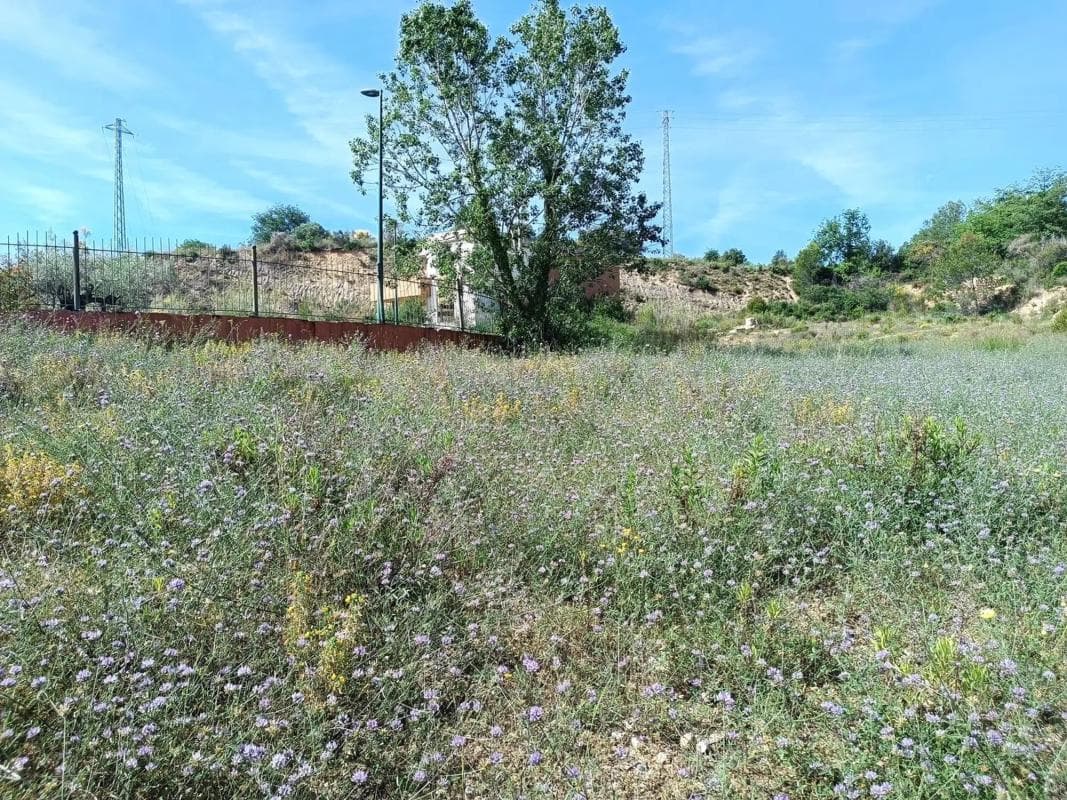 Terreno en venta en Sant esteve Sesrovires, Barcelona photo 2