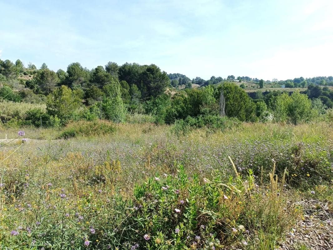 Terreno en venta en Sant esteve Sesrovires, Barcelona photo 3