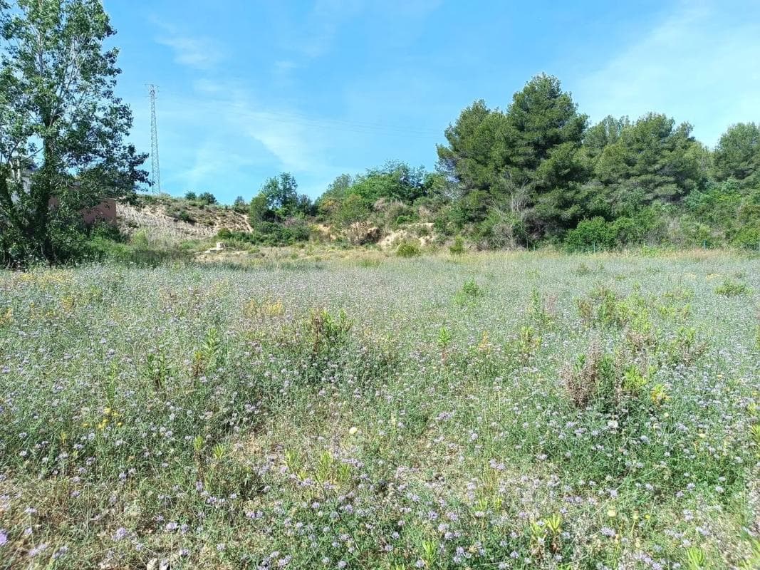 Terreno en venta en Sant esteve Sesrovires, Barcelona photo 5