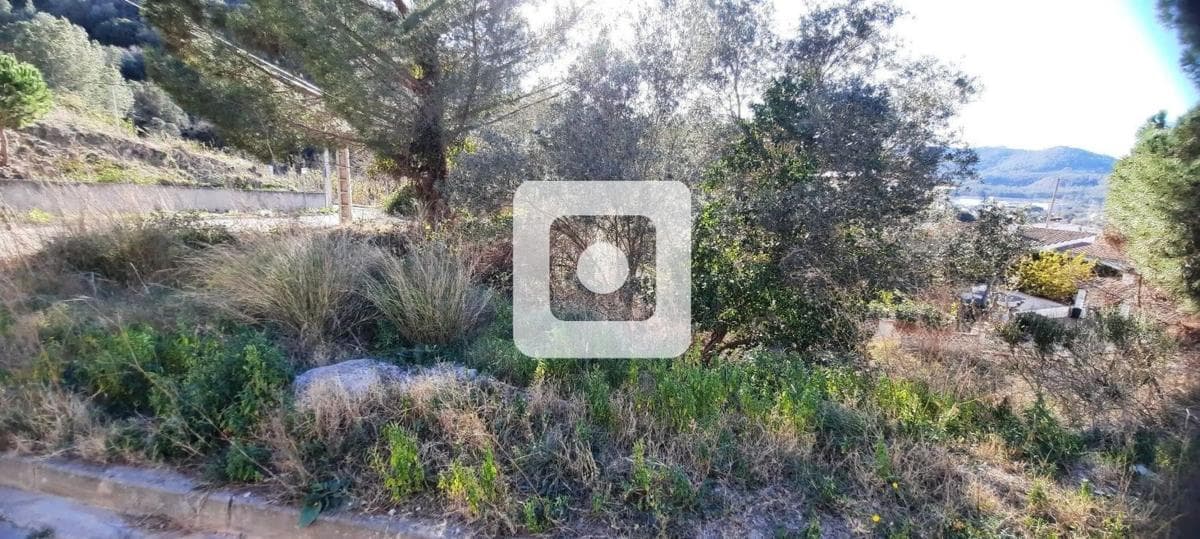 Terreno en venta en Cervelló, Barcelona photo 3
