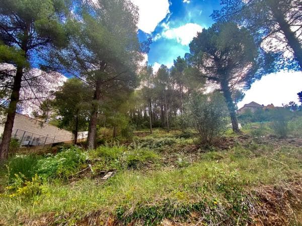 Terreno en sant andreu photo 1