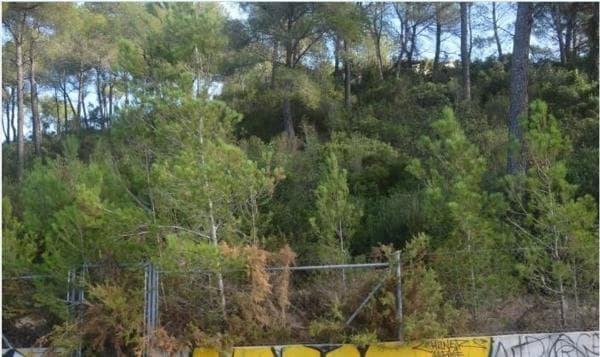 Terreno en Corbera de Llobregat thumbnail 1