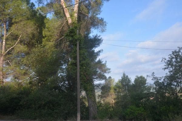 Terreno en Corbera de Llobregat thumbnail 1