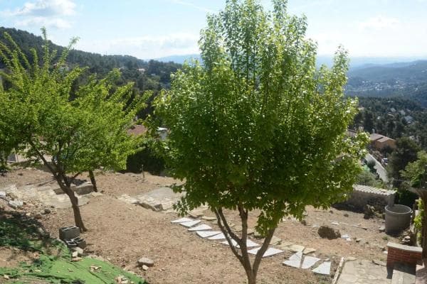 Terreno en Corbera de Llobregat thumbnail 1