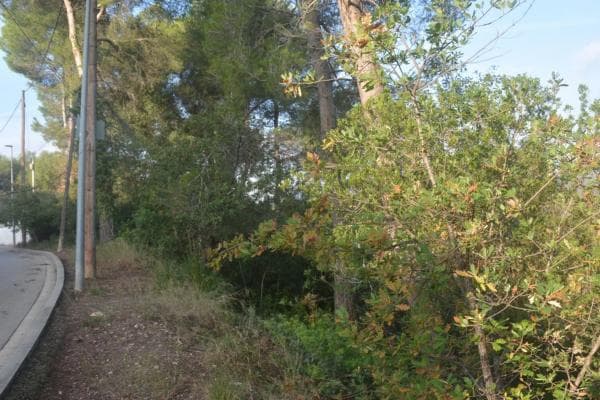 Terreno en Corbera de Llobregat thumbnail 2