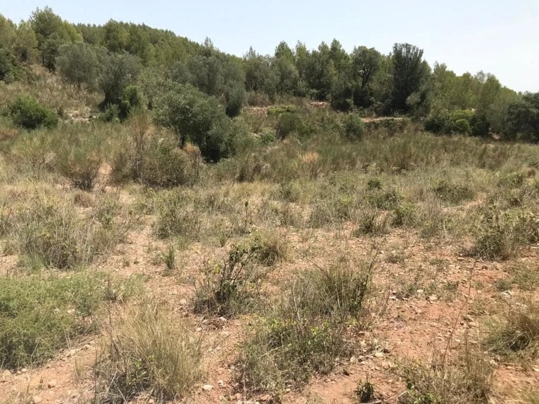 Terreno en venta en Collbató, Barcelona photo 3