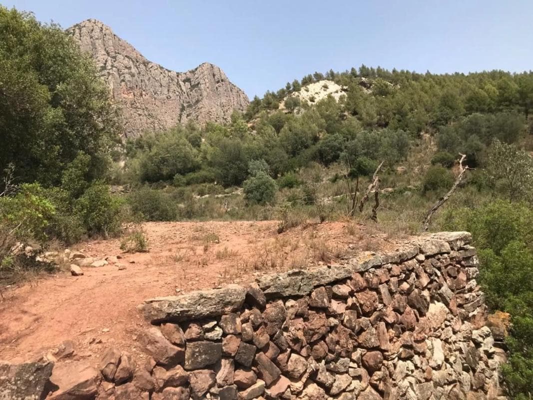 Terreno en venta en Collbató, Barcelona photo 4