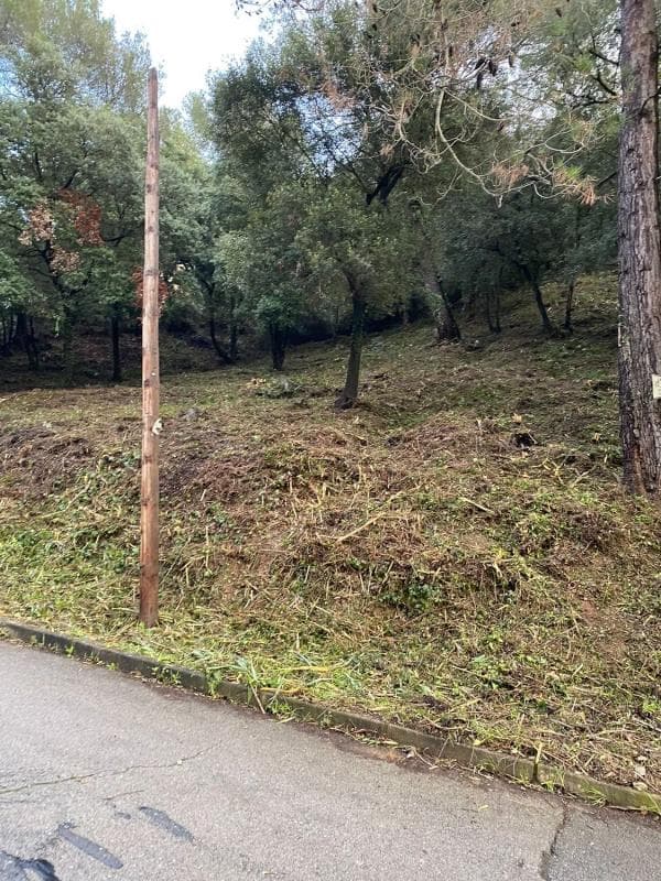 Terreno en venta en Cervelló, Barcelona photo 3