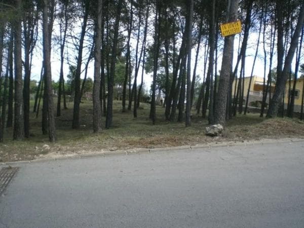 Terreno en Merlot, 22 photo 4