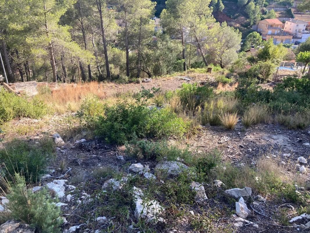 Terreno en venta en Vallirana, Barcelona photo 3