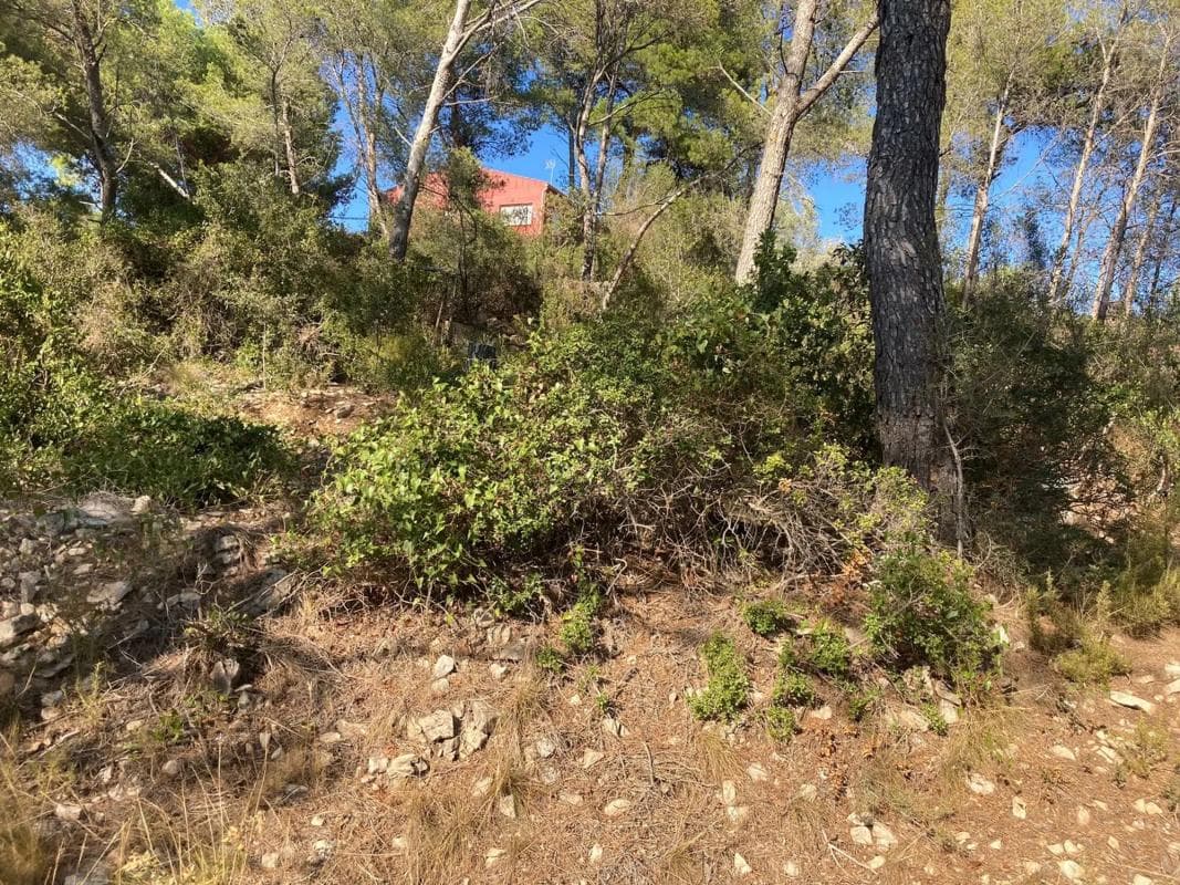 Terreno en venta en Vallirana, Barcelona photo 4