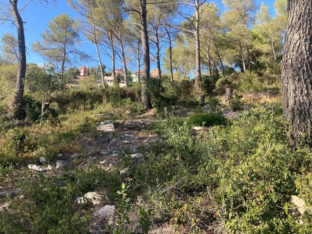 Terreno en venta en Vallirana, Barcelona photo 5