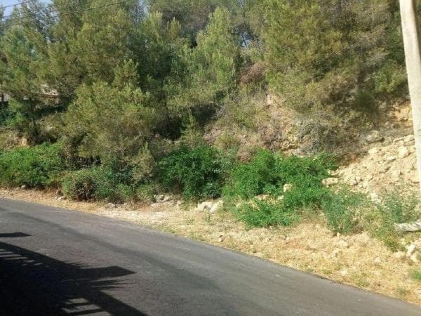 Terreno en Vallirana photo 4