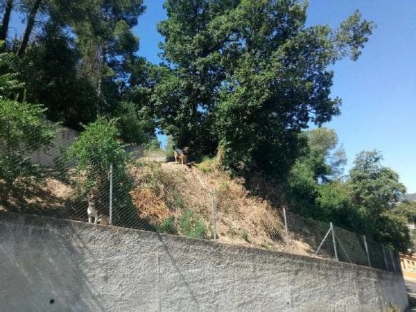 Terreno en Cervelló photo 3