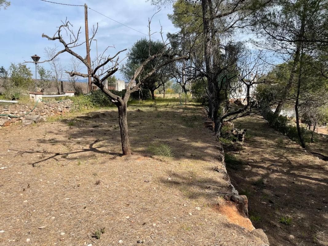 Terreno en venta en Sant Andreu de la Barca, Barcelona photo 4