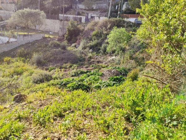 Terreno en calle de Miguel de Cervantes, 11 thumbnail 2