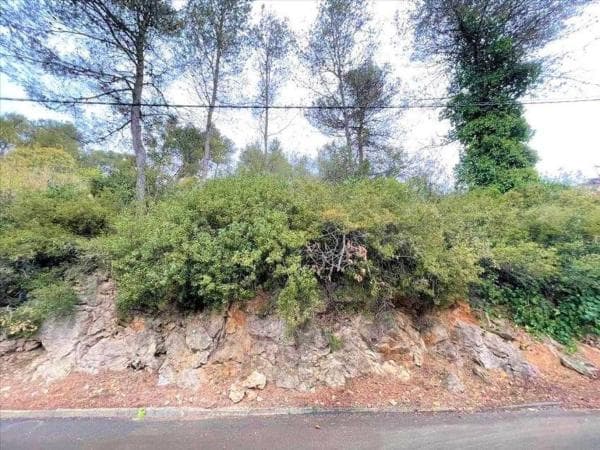 Terreno en avenida Olesa de Bonesvalls thumbnail 2