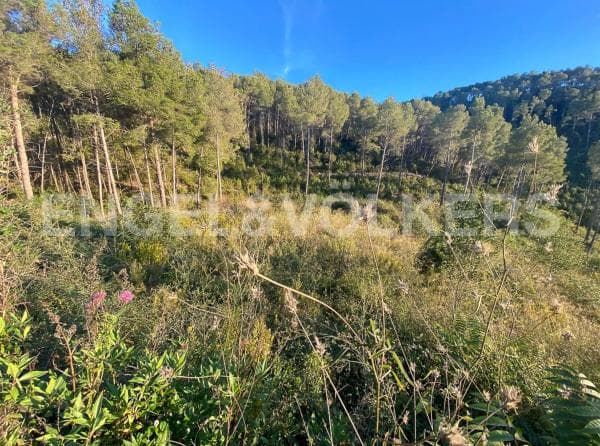 Terreno en Vallirana photo 1