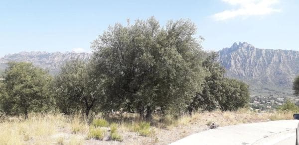 Terreno en calle d'Alfarràs, 11 thumbnail 2