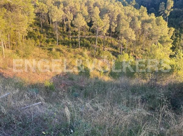 Terreno en Vallirana photo 2